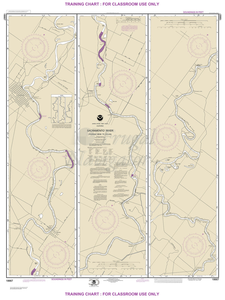 18667 Wall Chart