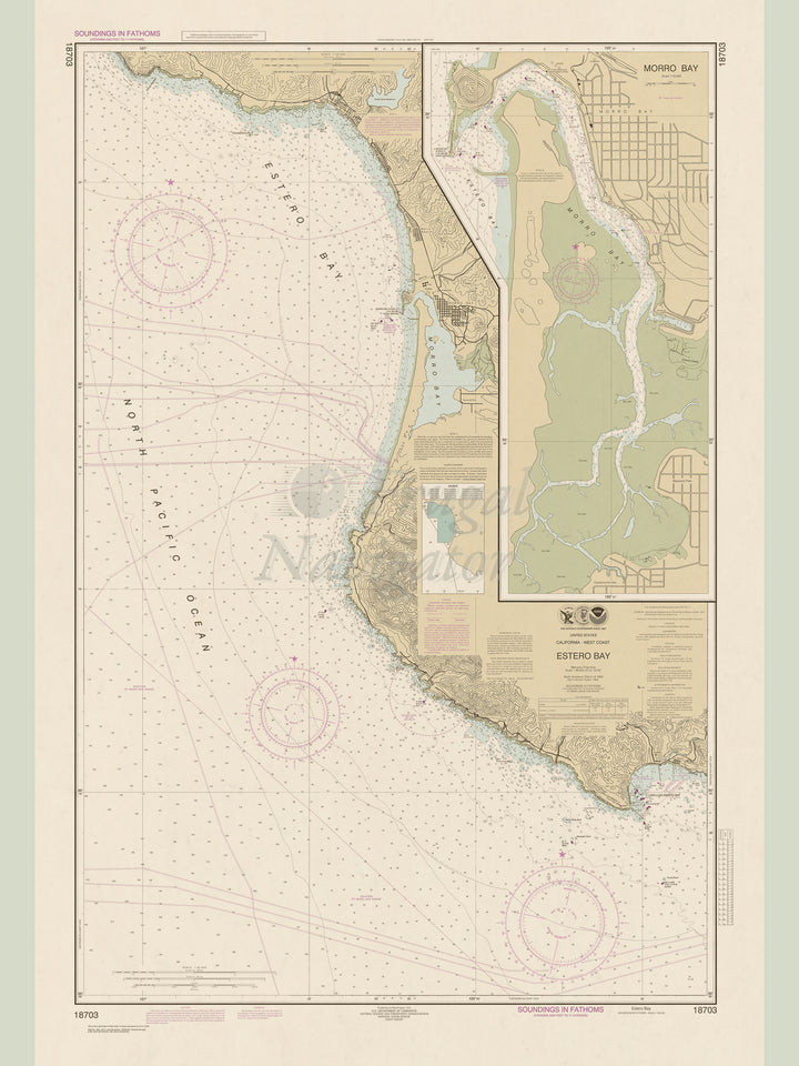 18703 Wall Chart