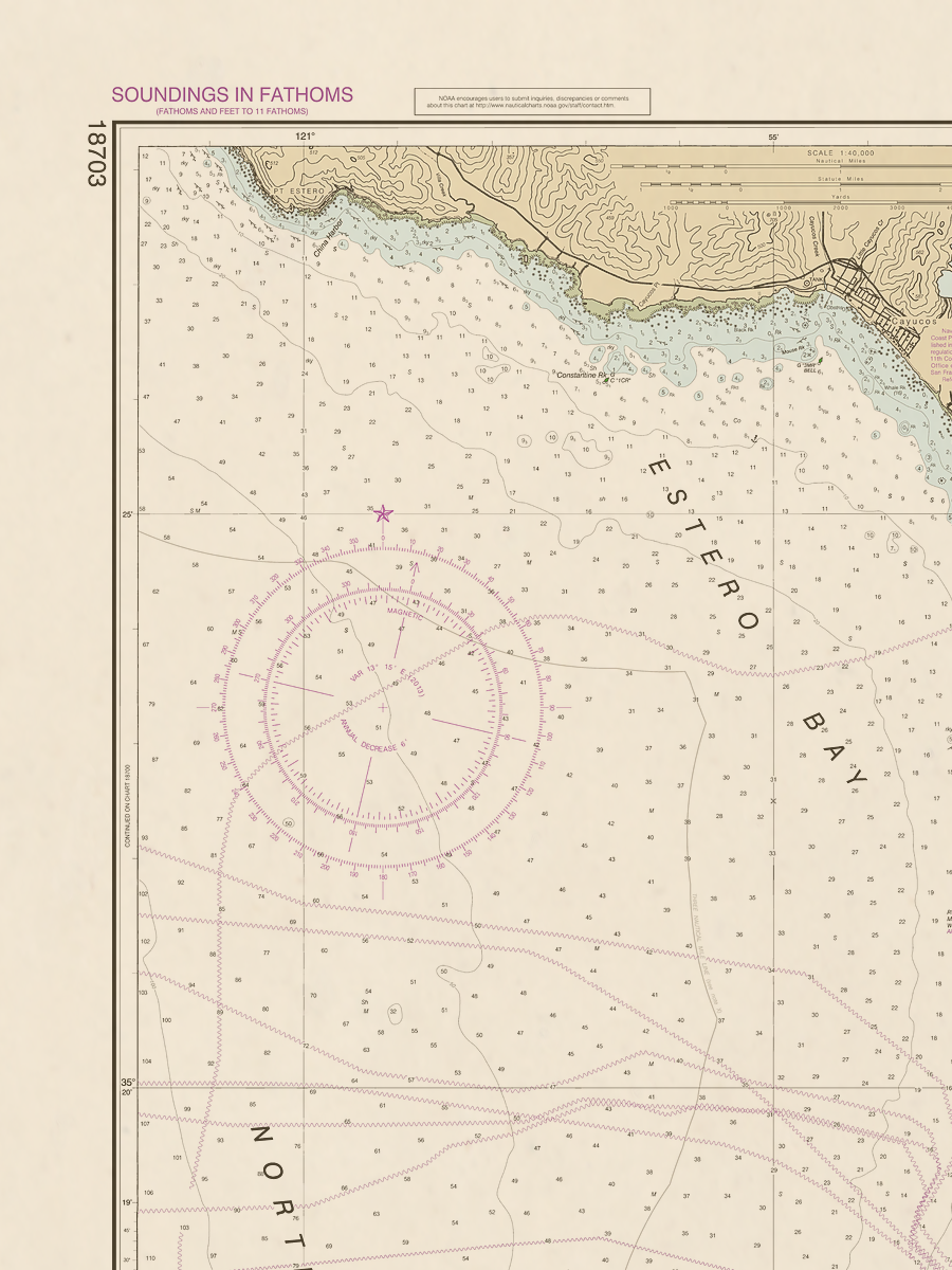 18703 Wall Chart