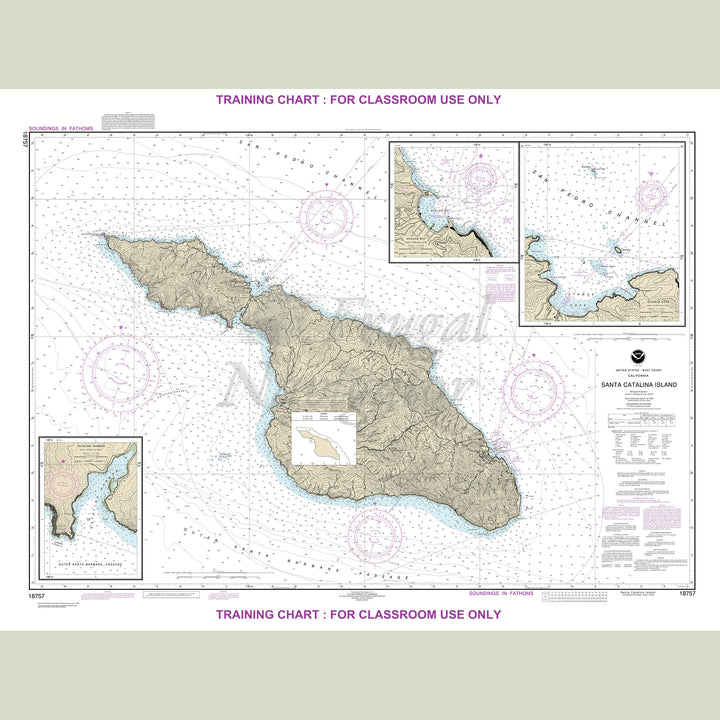 18757 Wall Chart