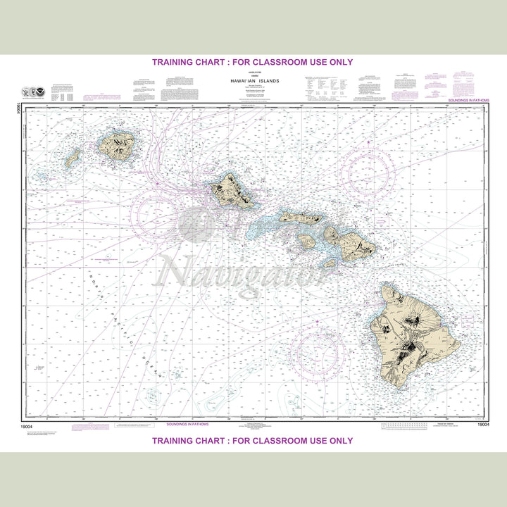 19004 Wall Chart