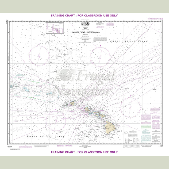 19007 Wall Chart