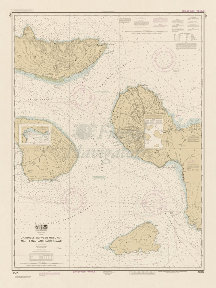 19347 Wall Chart
