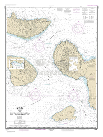 19347 Wall Chart