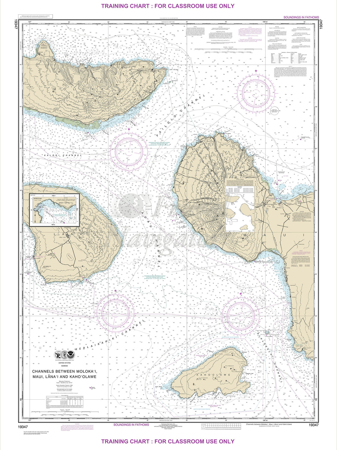 19347 Wall Chart