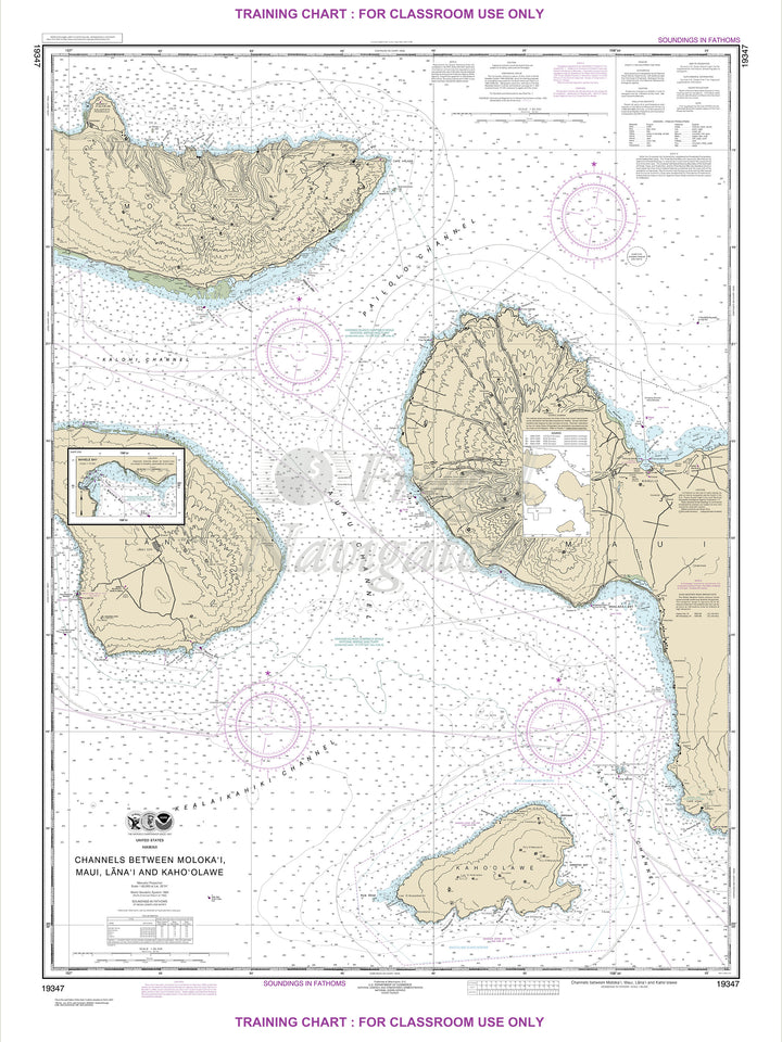 19347 Wall Chart