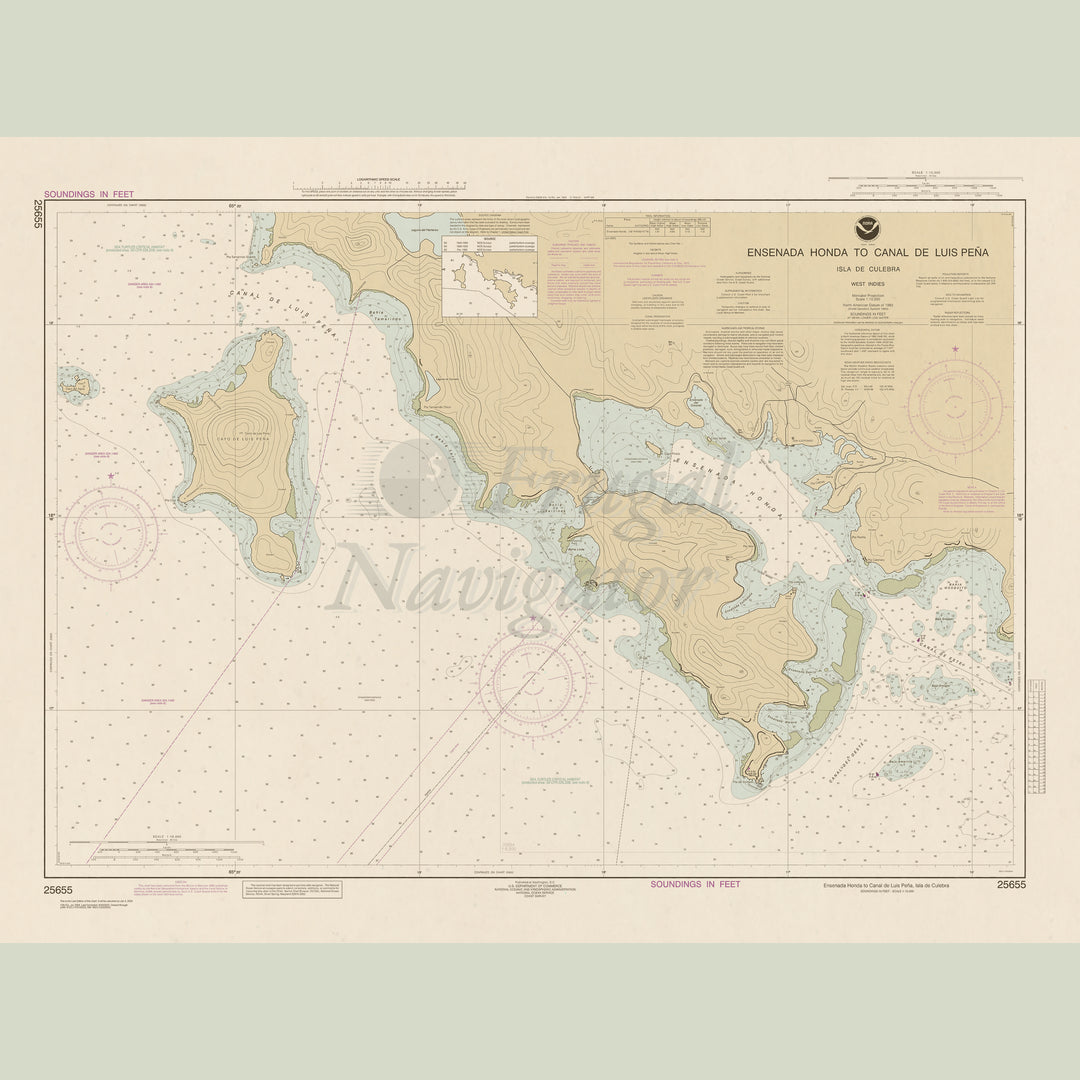25655 Wall Chart