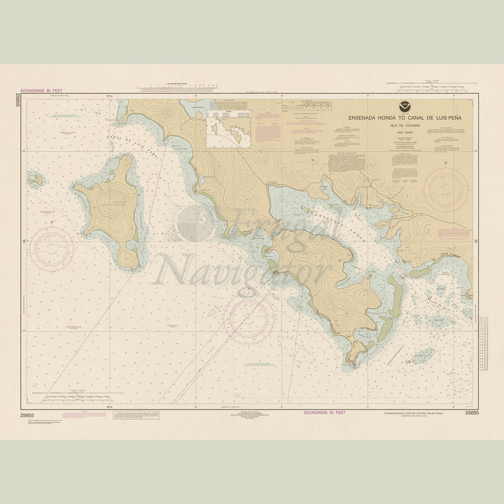 25655 Wall Chart