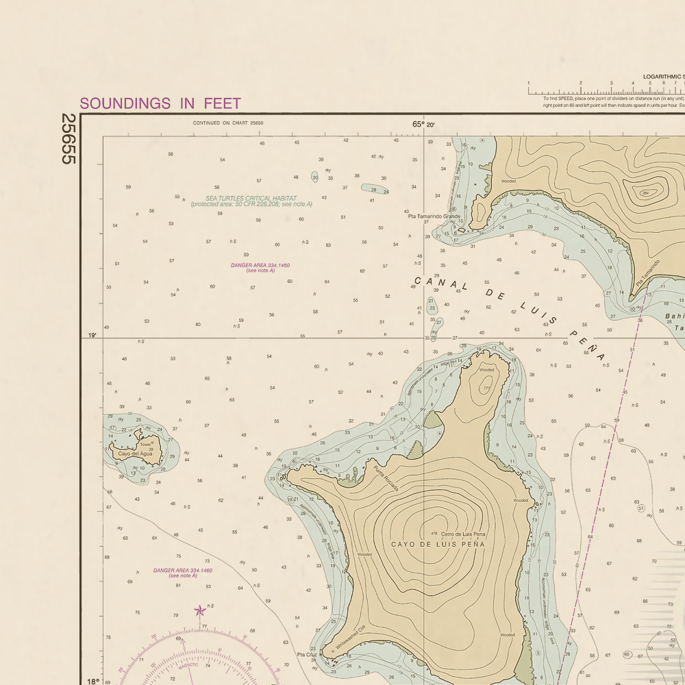 25655 Wall Chart