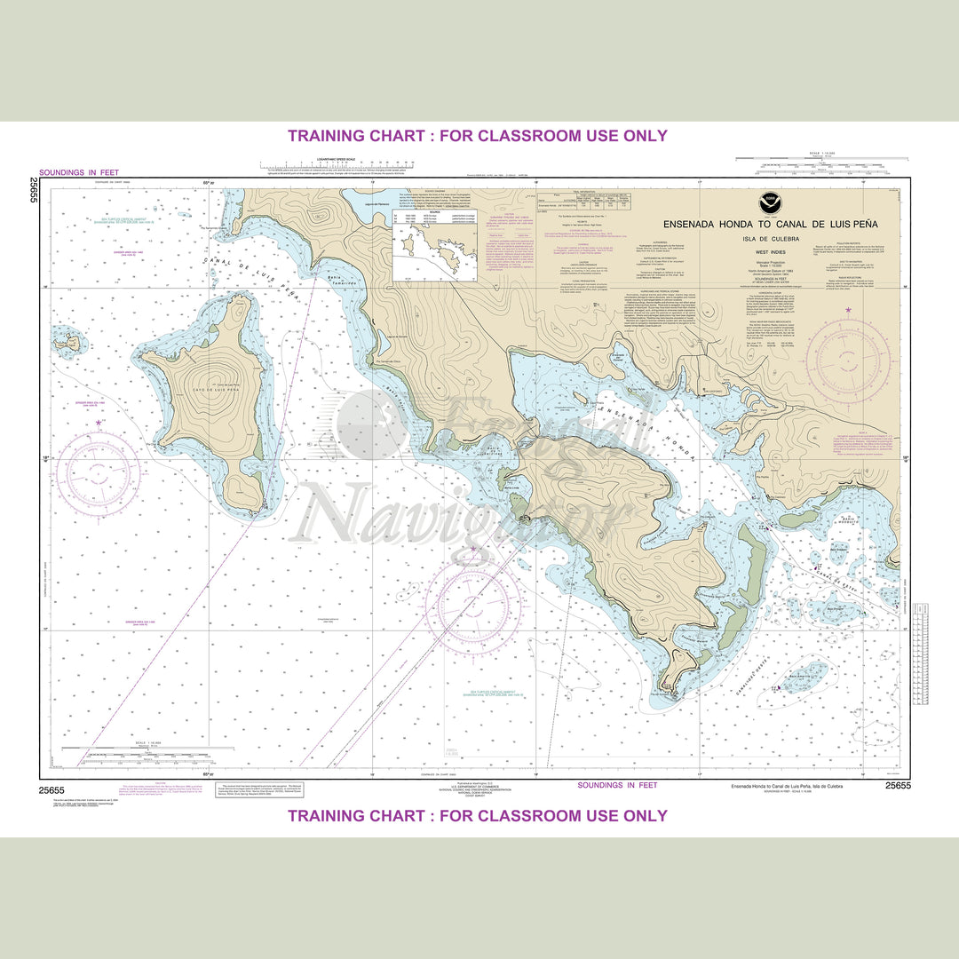 25655 Wall Chart