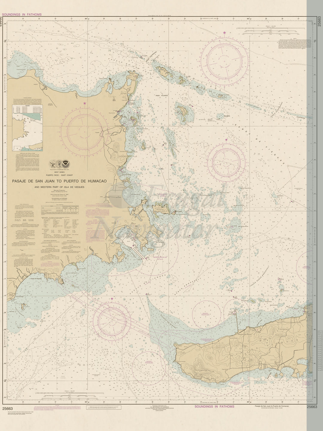 25663 Wall Chart