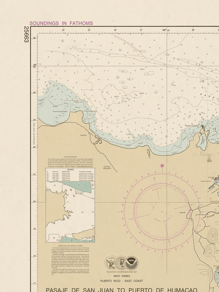25663 Wall Chart