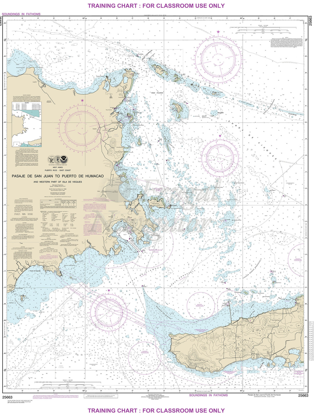 25663 Wall Chart