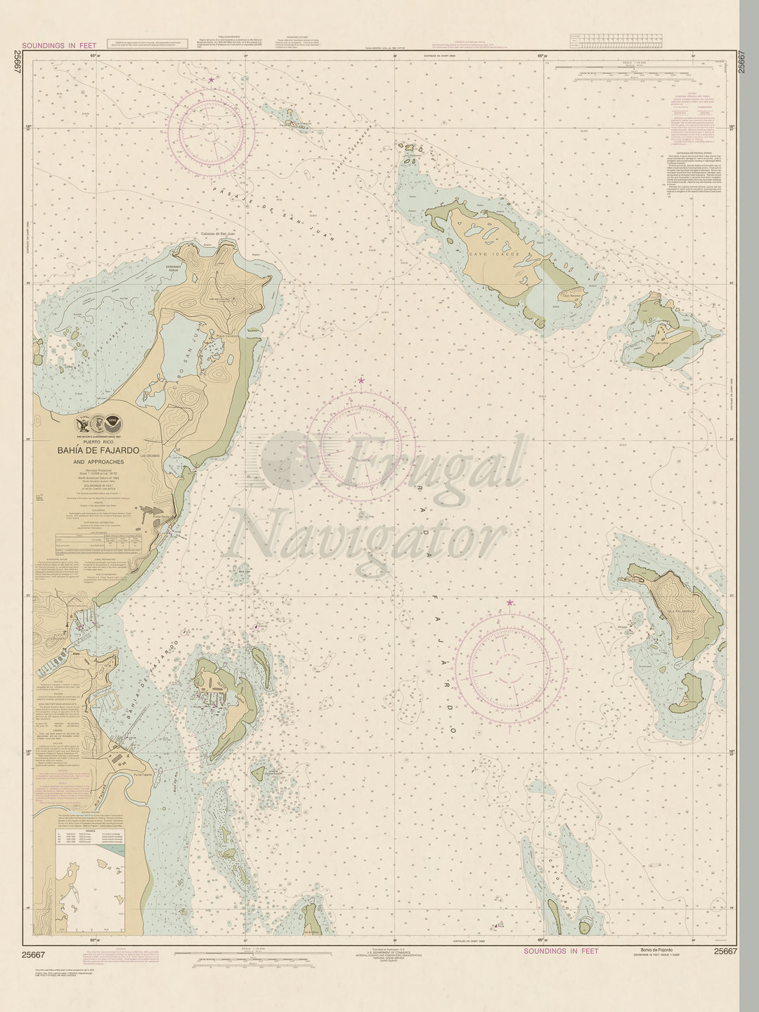 25667 Wall Chart