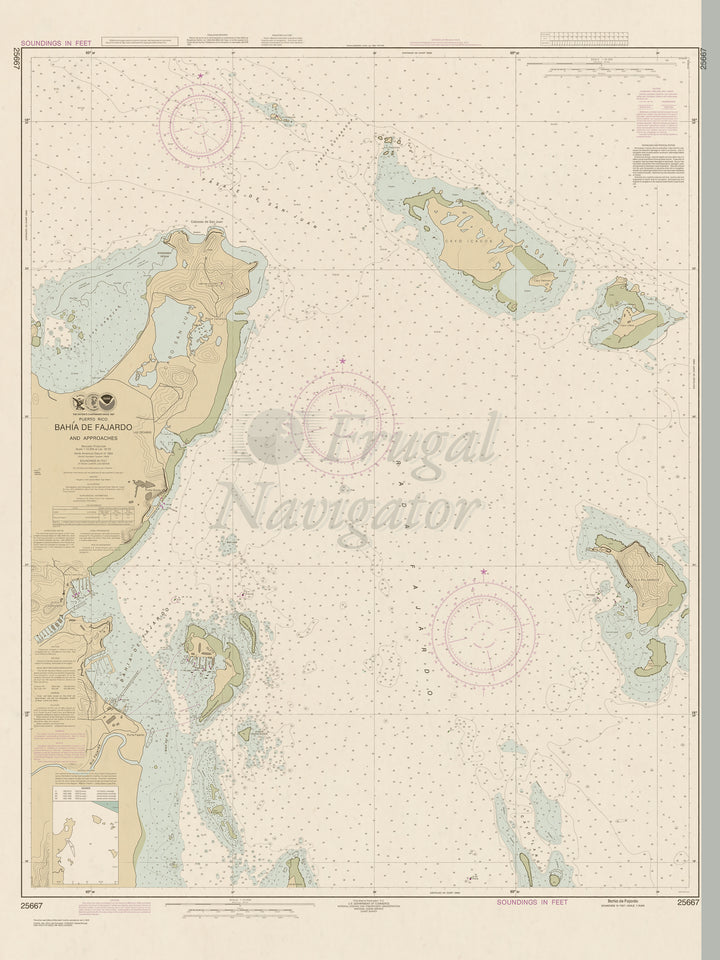 25667 Wall Chart