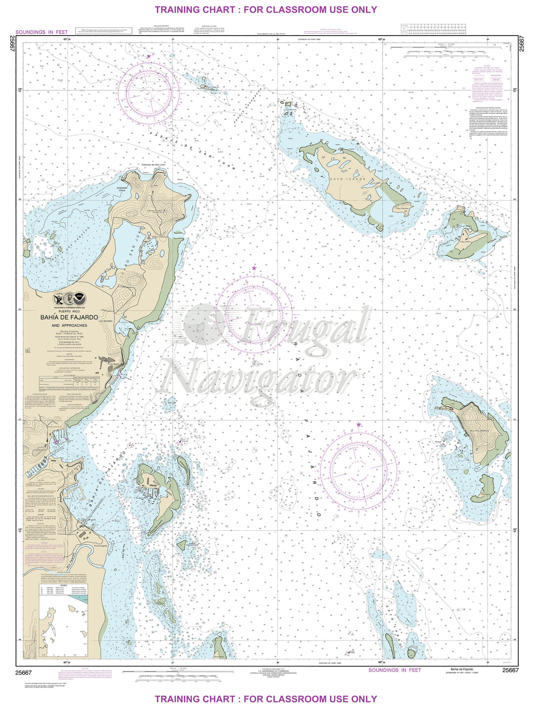 25667 Wall Chart