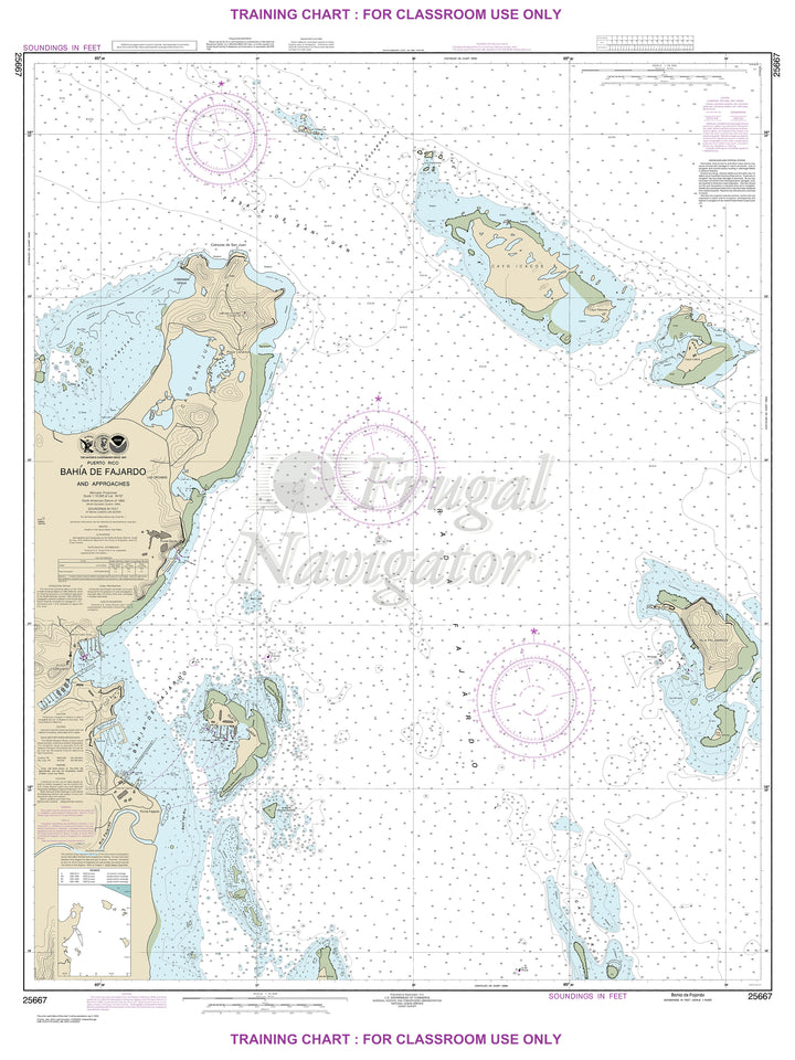 25667 Wall Chart