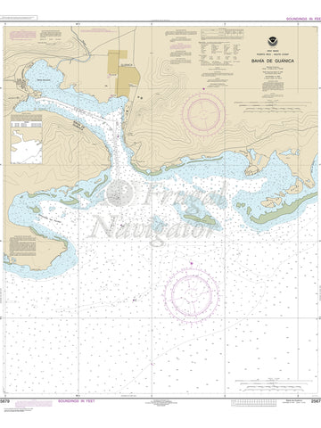 25679 Wall Chart