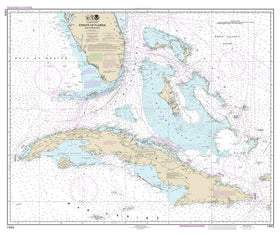 11013 Wall Chart Options