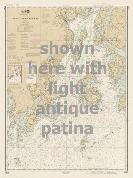 13302 wall chart options