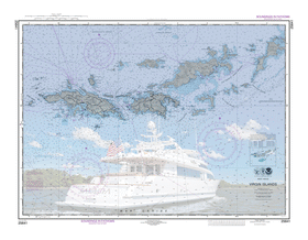 Salacia in the Virgin Islands