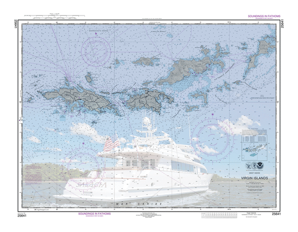 Salacia in the Virgin Islands