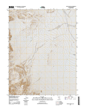 Rhyolite Ridge NE, NV