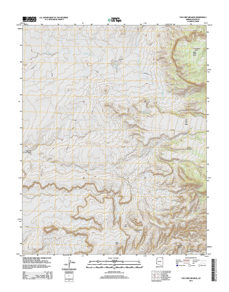 Toh Chin Lini Mesa, AZ