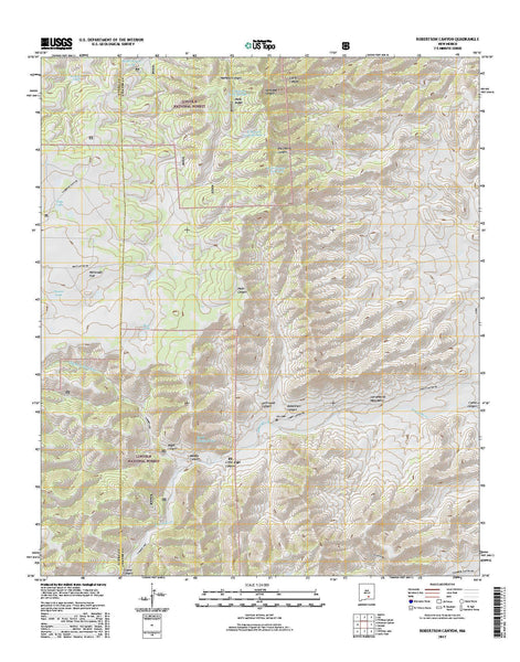 Robertson Canyon, NM