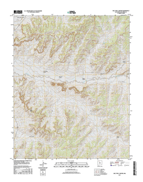 Billy Rice Canyon, NM