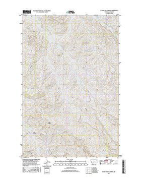 Olson Coulee North, MT