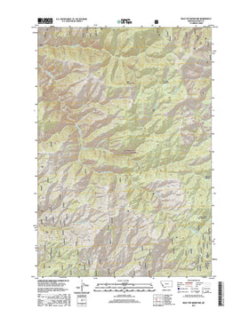 Bald Top Mountain, MT