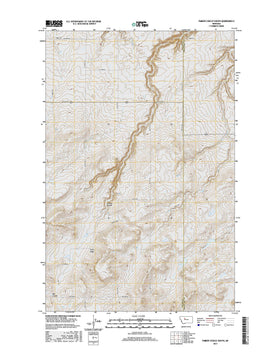 Timber Coulee South, MT